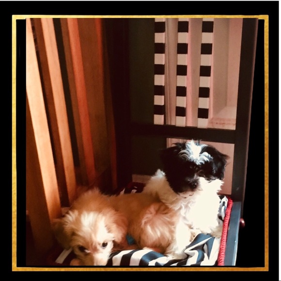 🍃💐look at 1st 4pics Custom Things from My Mind💐 - Picture 14 of 15